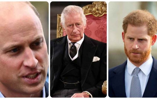 Harry o William, chi non è figlio di Carlo III?