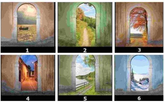 Test dell'arco - Youbee.it