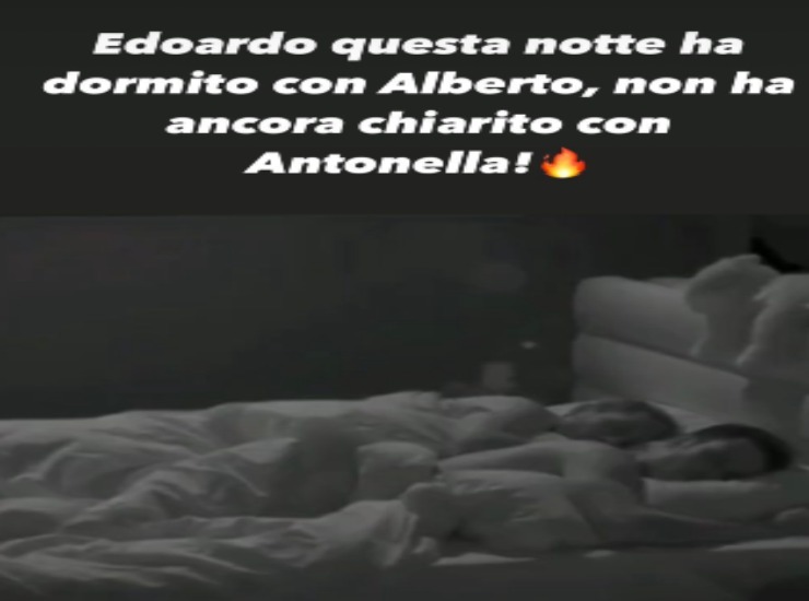 Alberto ed Edoardo - Youbee.it