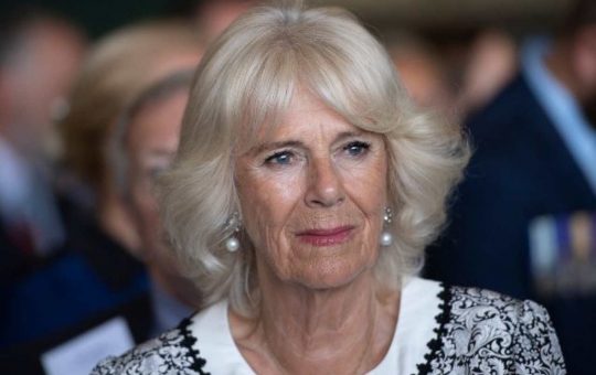 Camilla da giovane era un vero schianto
