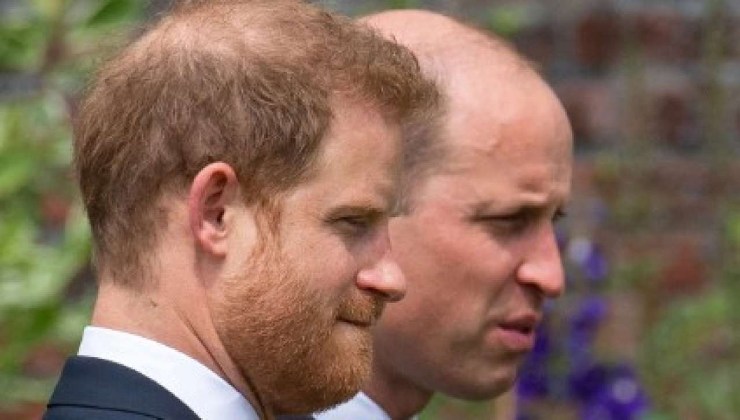 Di che malattia soffrono Harry e William?