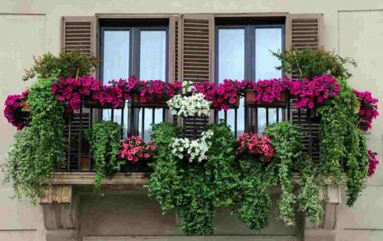 Balcone con fiori, ecco cosa seminare - Youbee.it