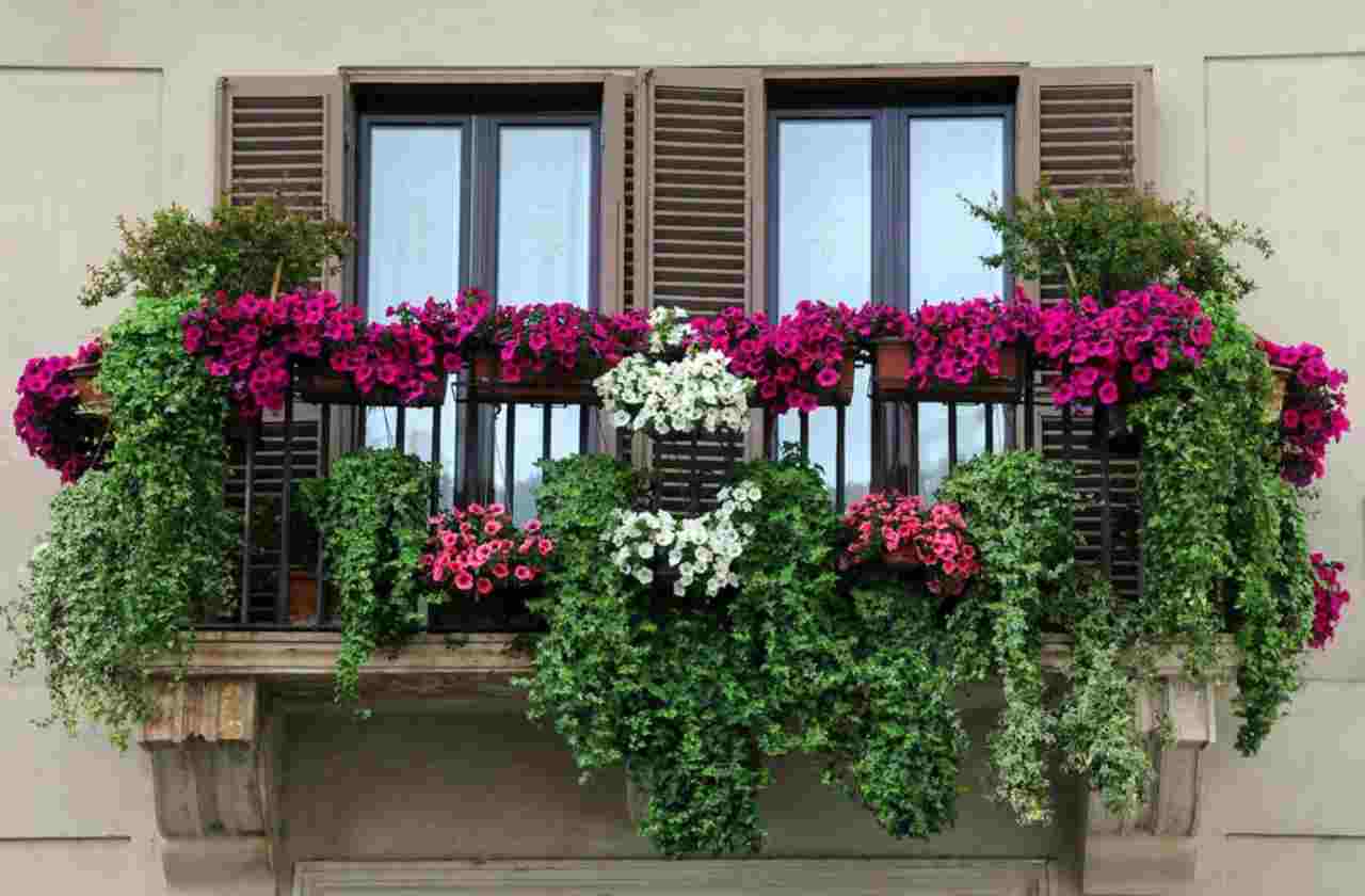 Balcone con fiori, ecco cosa seminare - Youbee.it