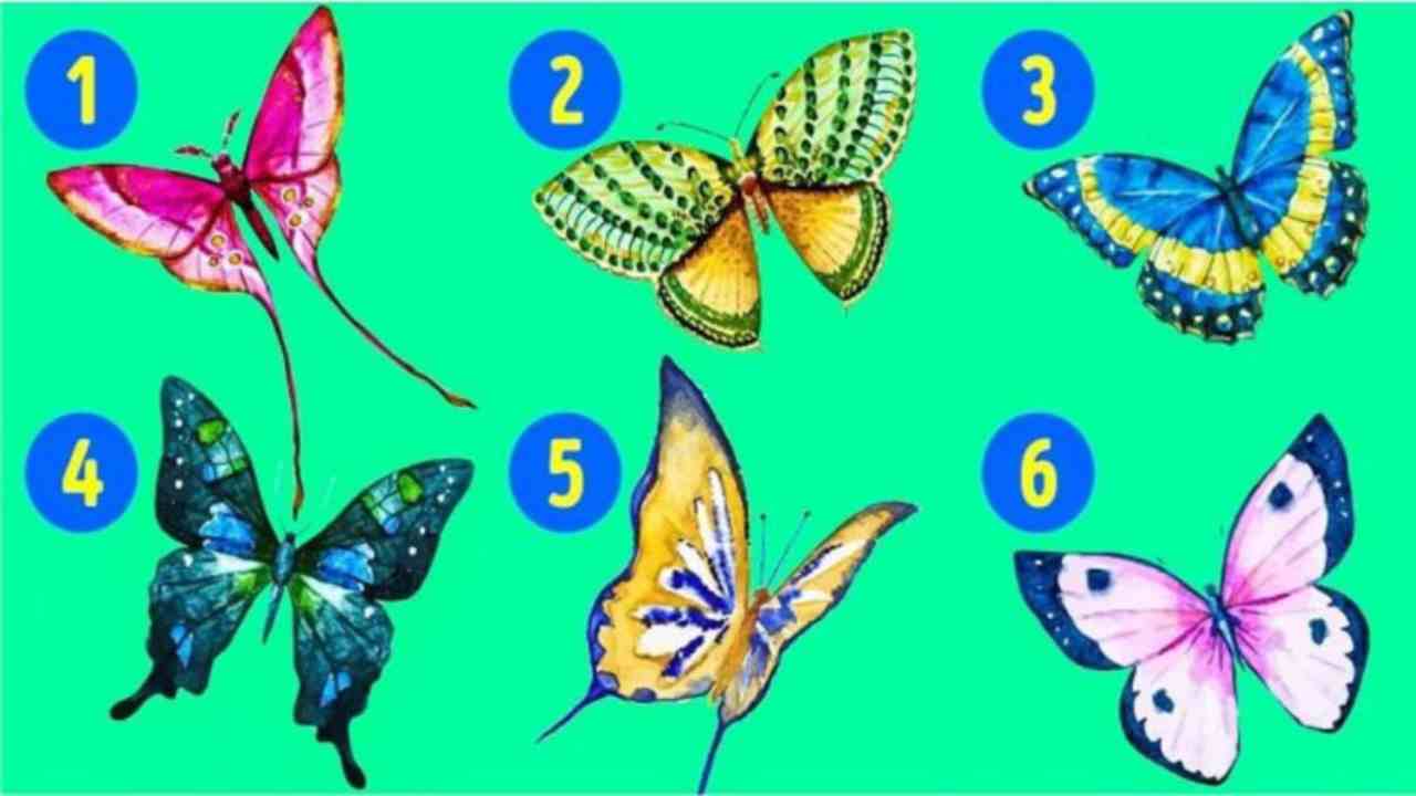 Test delle farfalle, le descrizioni - Youbee.it