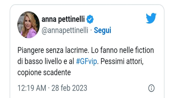 Twitter di Anna Pettinelli sul Gf Vip 7 - Youbee.it