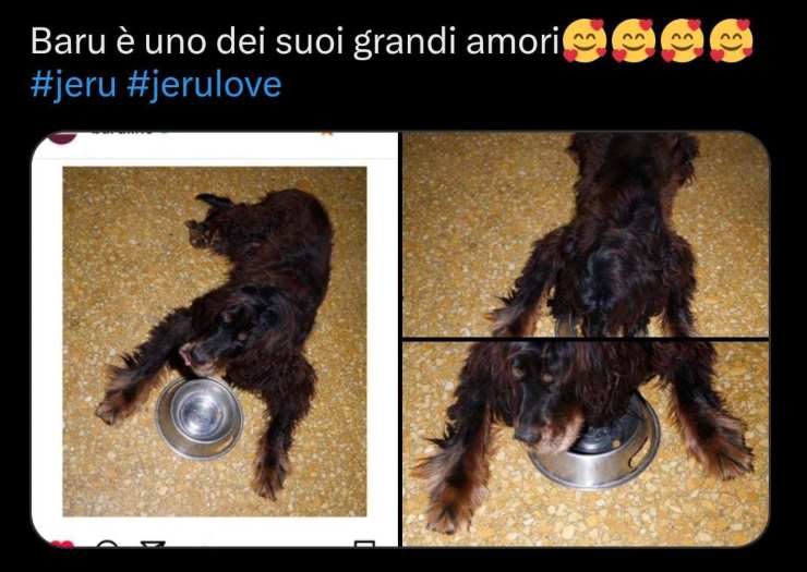 Twitter di Barù sul suo amore