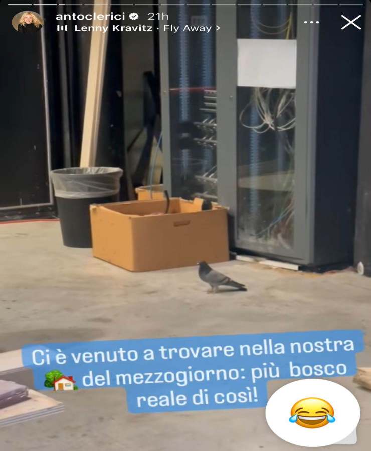 Intruso in studio a È Sempre Mezzogiorno