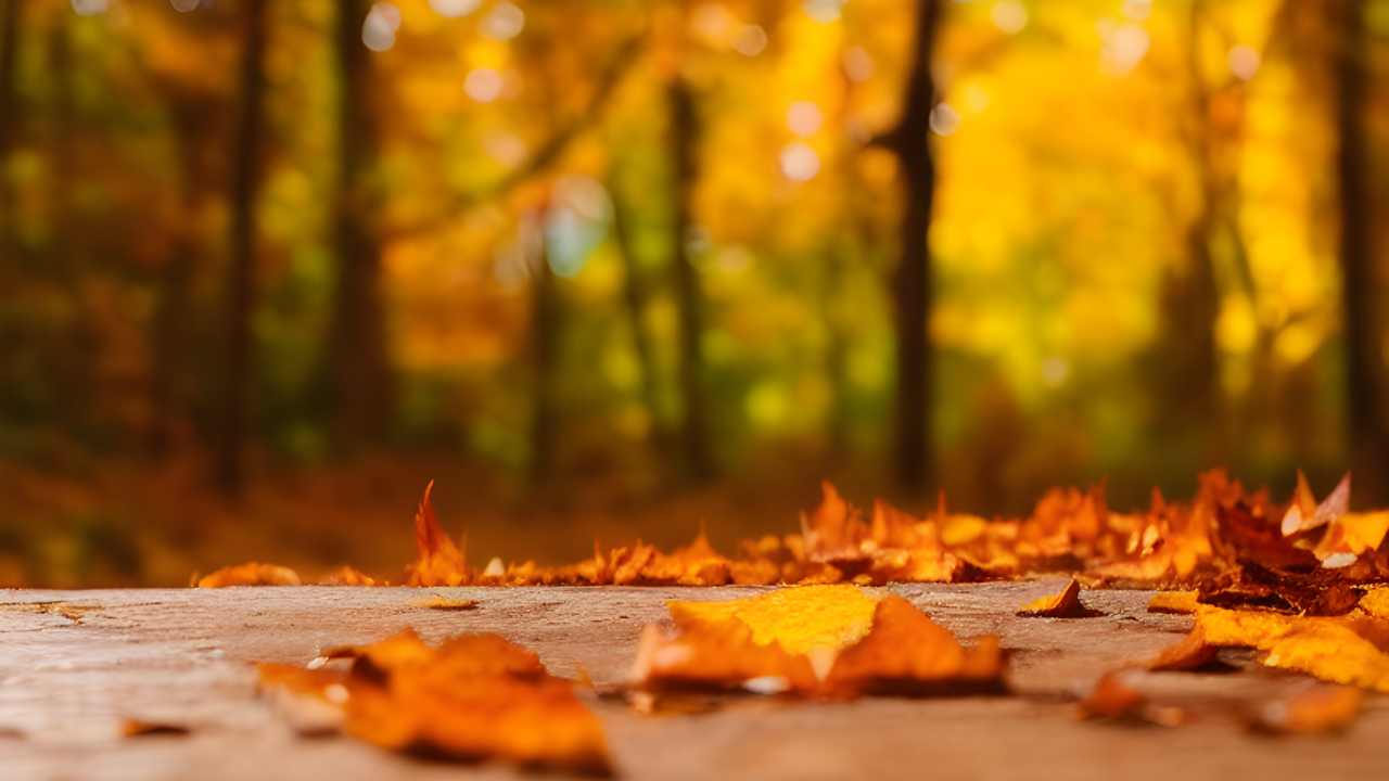 Autunno