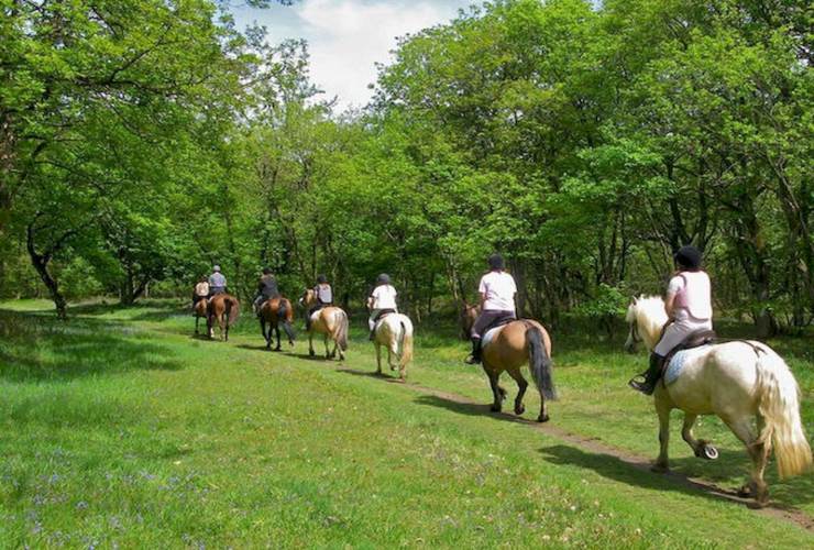 Passeggiata in campagna, buon rimedio - Youbee.it