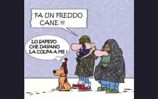 Perchè si dice fa un freddo cane?