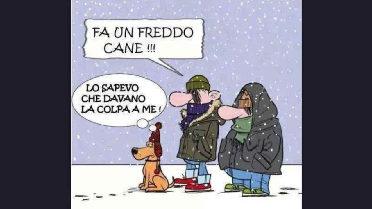 Perchè si dice fa un freddo cane?