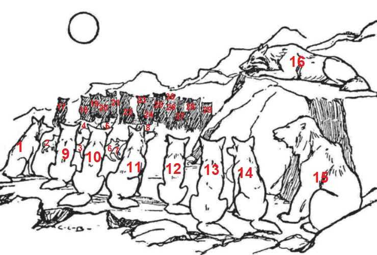 La soluzione al test visivo dei lupi