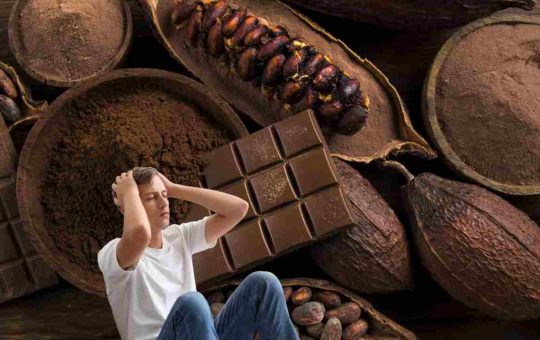 Potreste non mangiare più il cacao